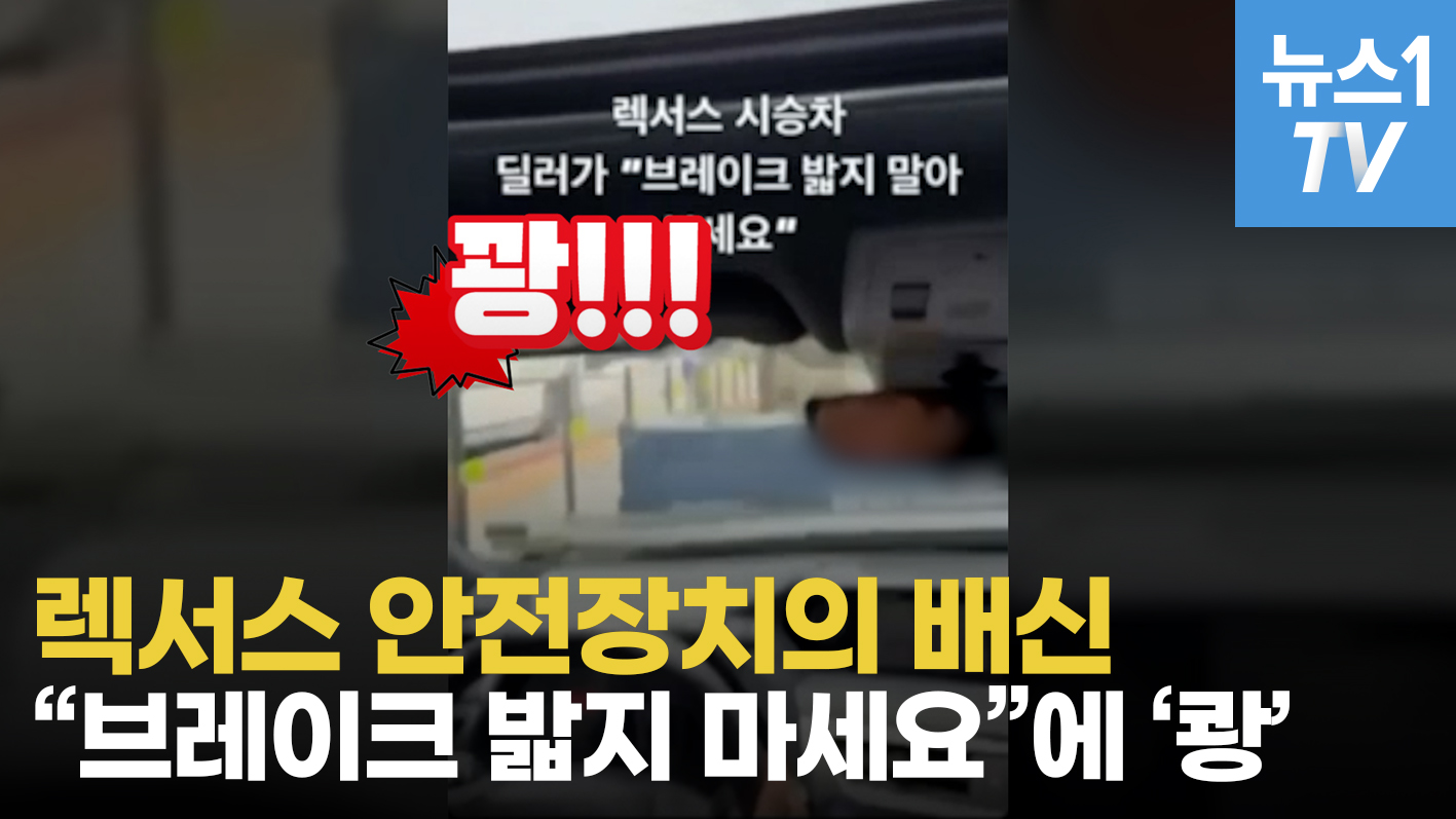 "멈춰설 줄 알았는데, 꽝"…렉서스 안전장치의 배신