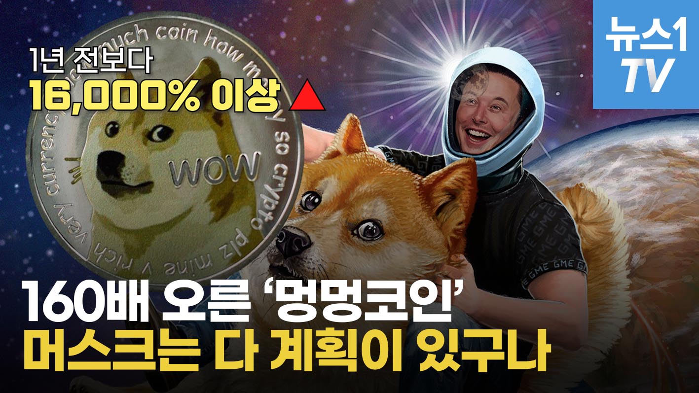 코인시장 떡락, 홀로 생존한 도지코인…작년보다 160배 상승