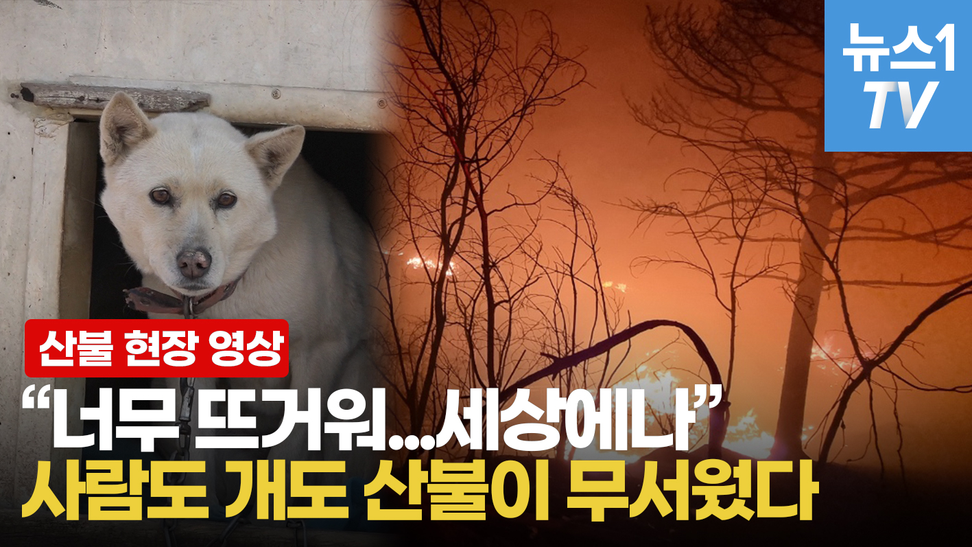 "뜨거워, 어디로 가야 해"...차안에서 울어버린 사연