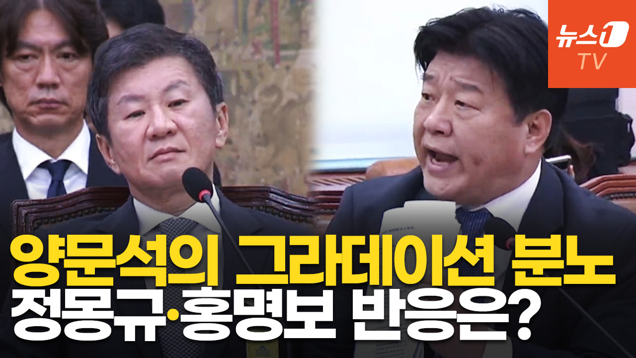 정몽규, 양문석이 호통치자 의자에 등 기대고 '싸늘'…홍명보 "특혜 없었다"