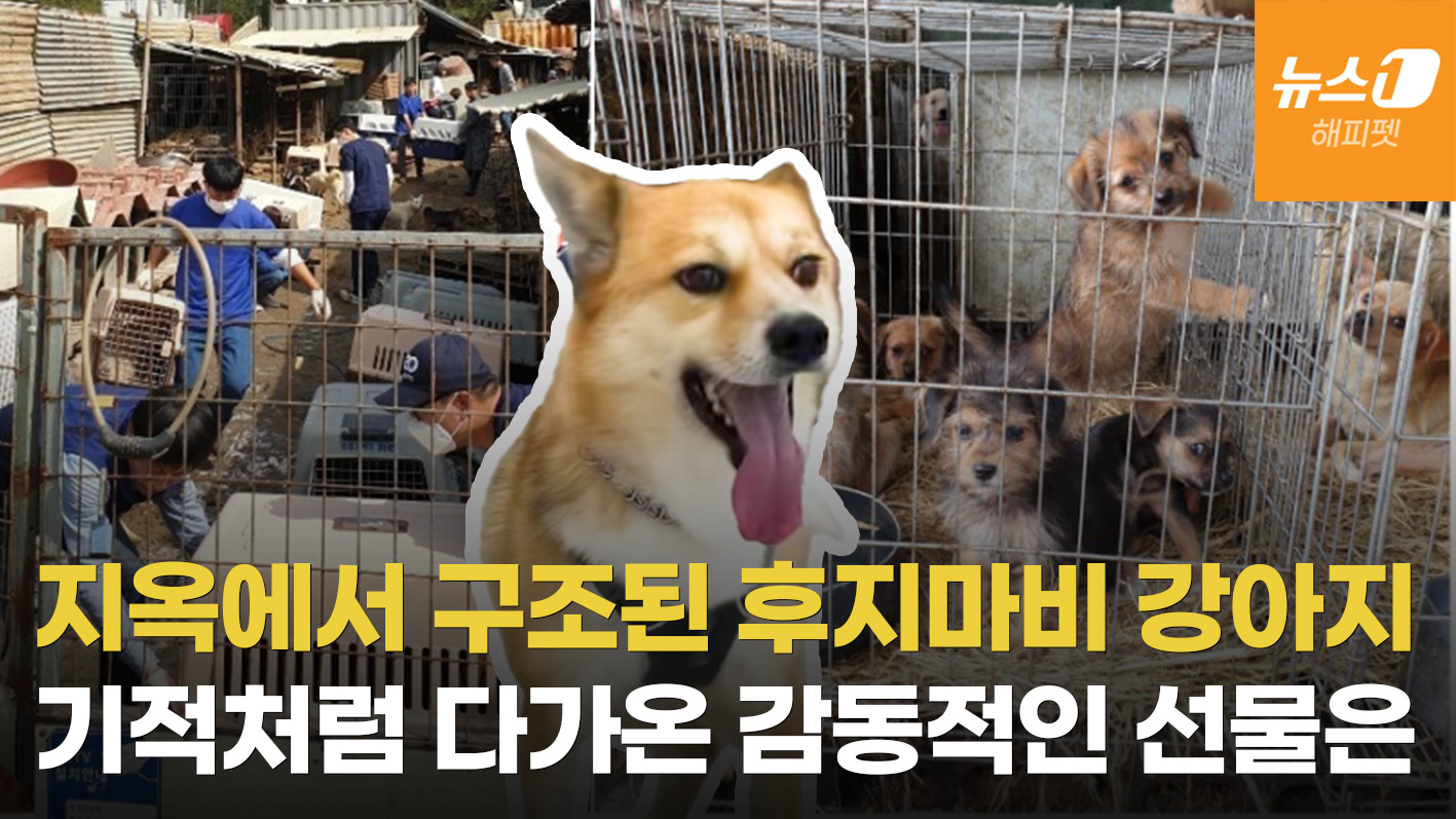 개지옥 '애린원' 기억 잊고 새 출발 앞둔 폭스, 검진하던 날