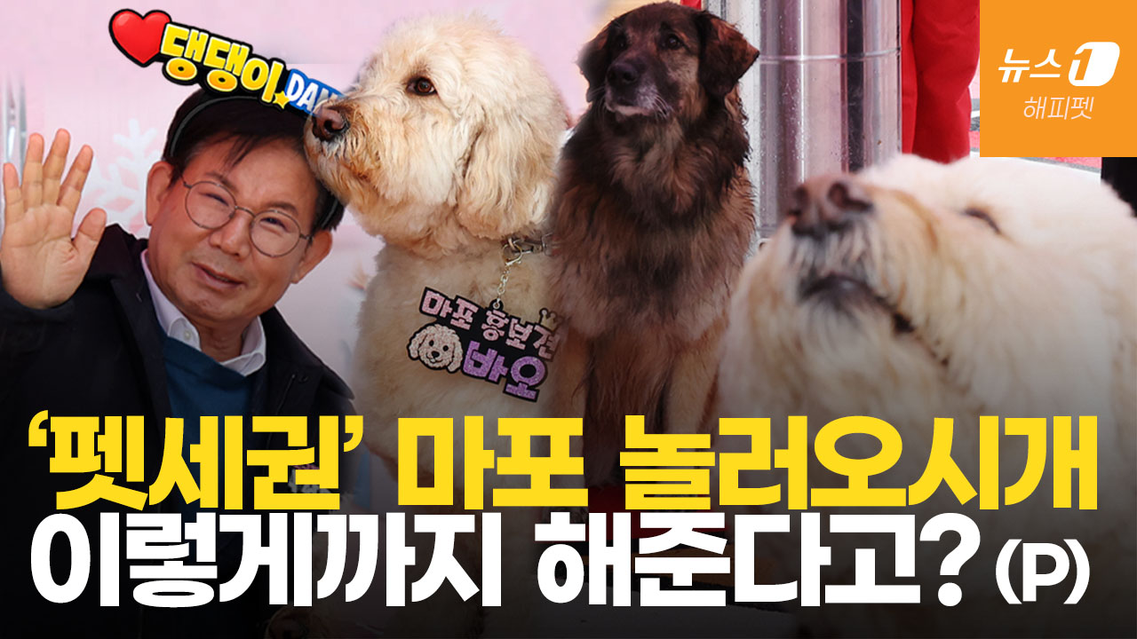 "반려동물 요람서 무덤까지 완전 케어"…댕댕이에 진심인 서울 마포