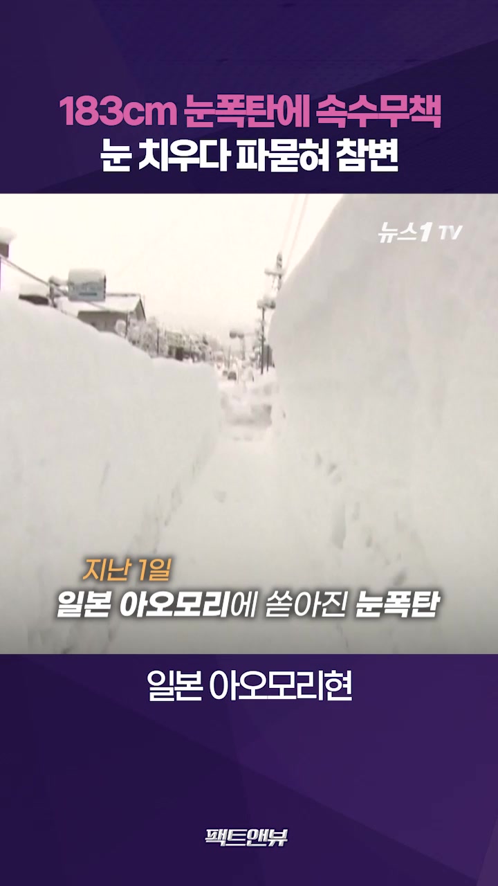 日아오모리 21년만 기록적 폭설…183cm 쌓인 눈에 속수무책