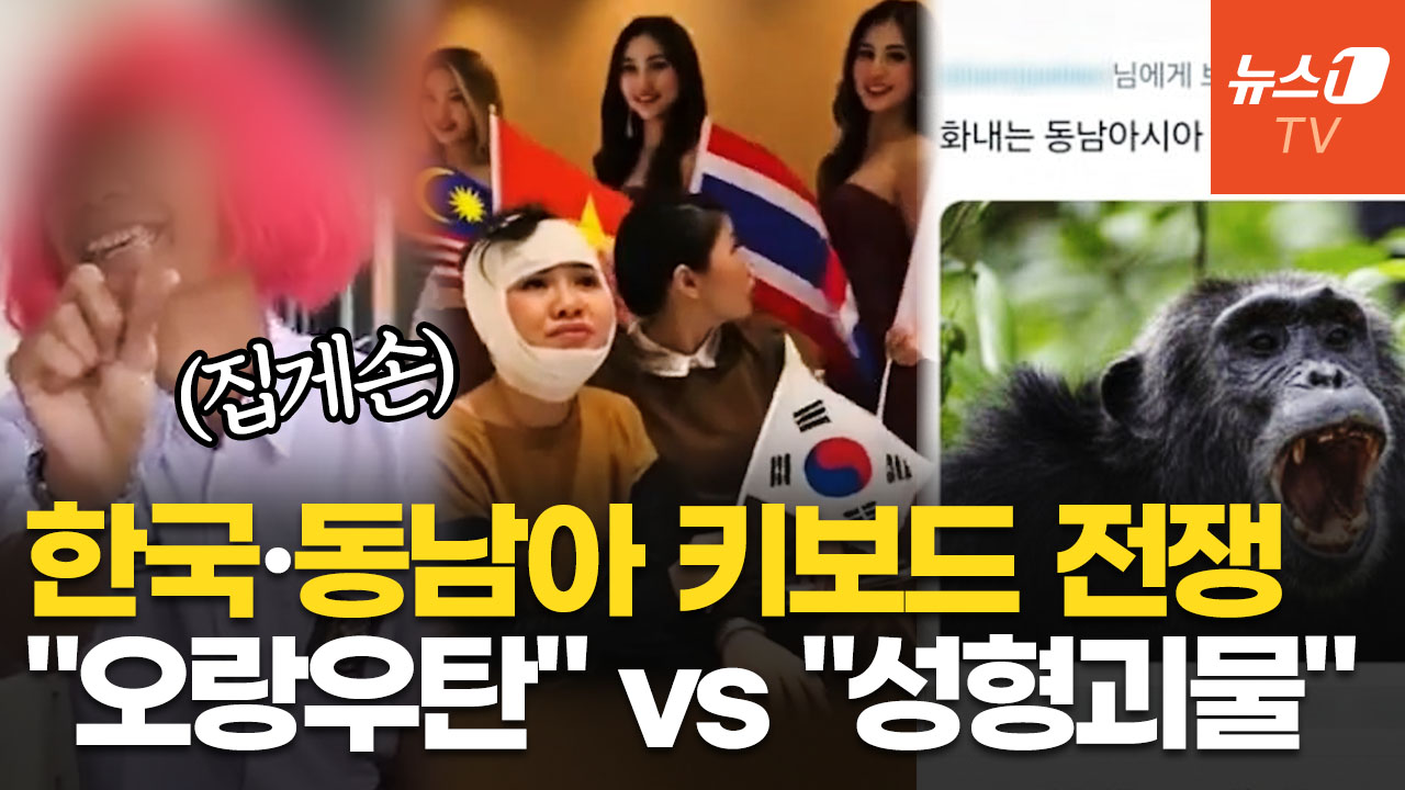K팝 비하부터 독립운동가 조롱까지…동남아 혐한에 韓 네티즌들 '폭발'
