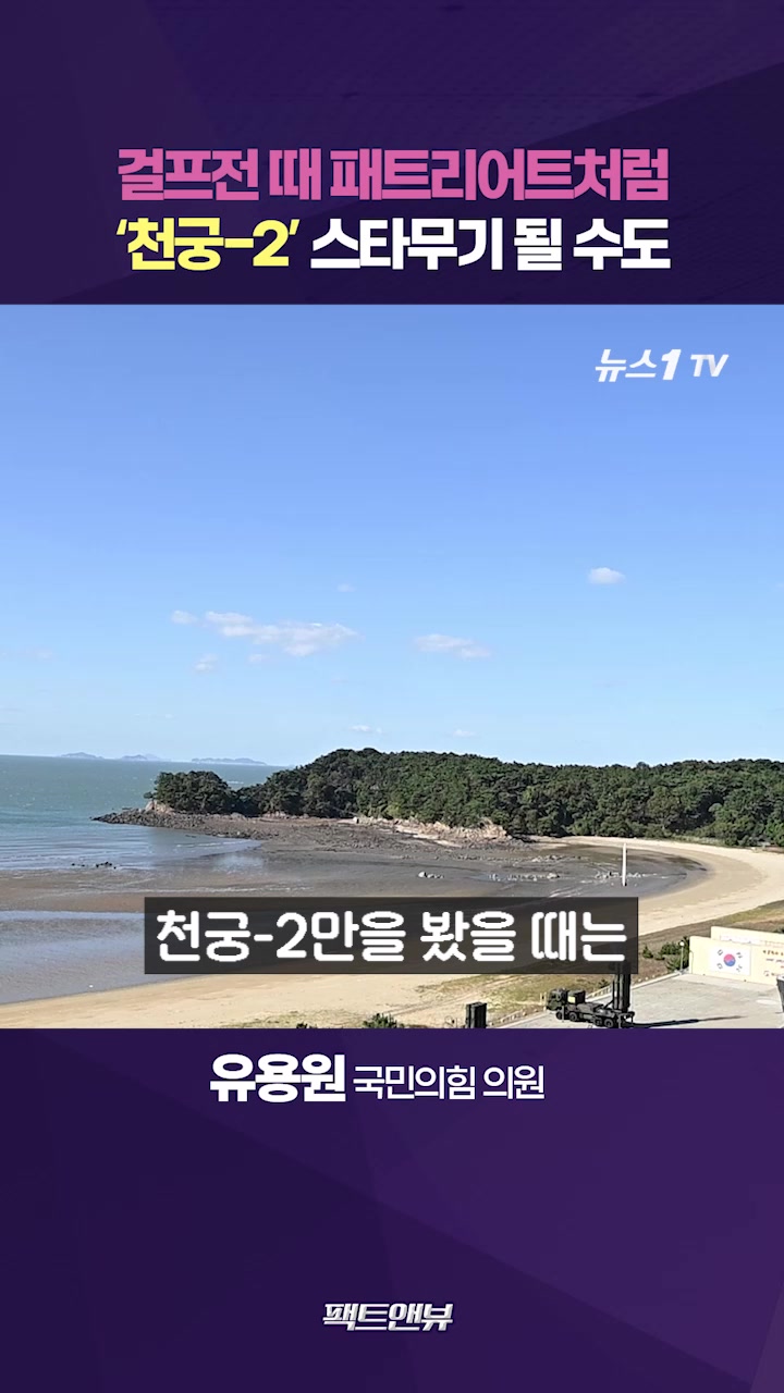 천궁-Ⅱ, 이란 순항미사일 100% 요격…스타무기 될 수도 [팩트앤뷰 유용원]