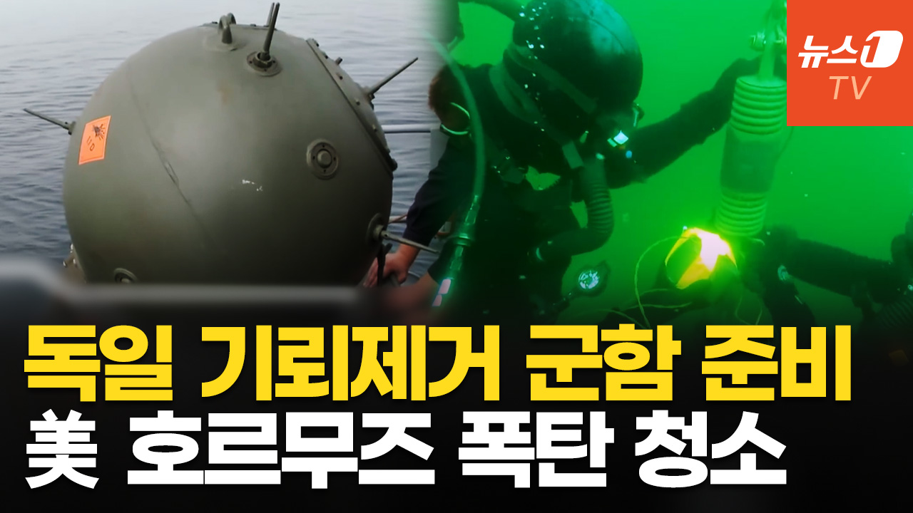 "독일, 호르무즈에 기뢰 제거 군함 파견 준비"…美는 이미 '바다 청소' 작전 돌입