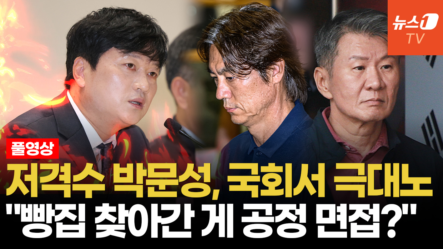 박문성 "내가 정몽규였으면 '쇼'라도 했다"…국회 토론회서 극대노