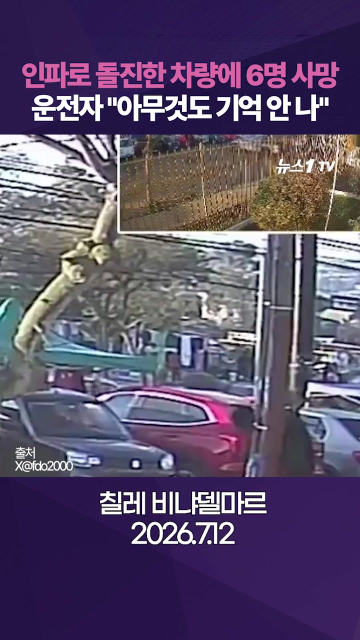 칠레 야외 시장으로 돌진한 차량…운전자는 해군 소속