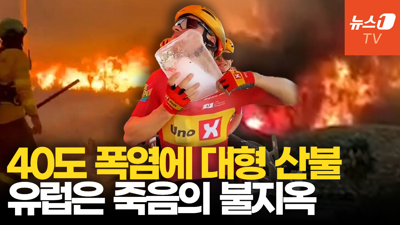 '40도' 살인 더위 이어 산불에 타들어간다…폭염에 1만명 초과사망?