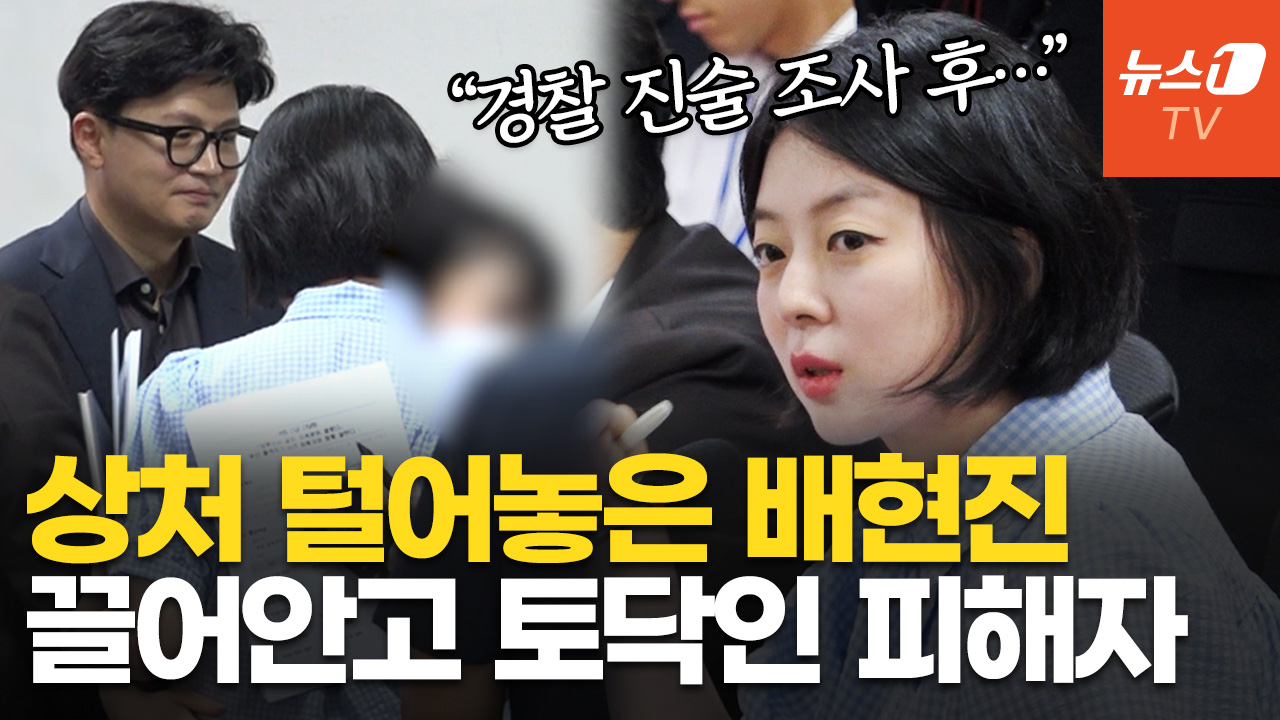 배현진 "나도 피해자…담당 경찰관, 블로그에 소설처럼 진술조사 게재해"