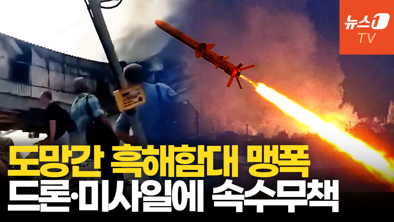우크라, 흑해함대 마지막 거점 때렸다…러 군함 4척 명중