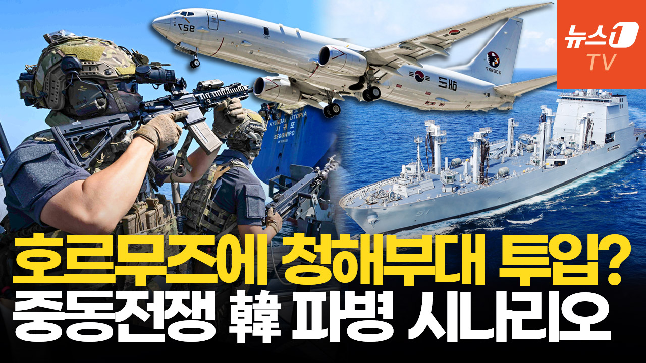 靑 "호르무즈 파병 검토"…군수지원함·초계기·EOD 전력 지원?