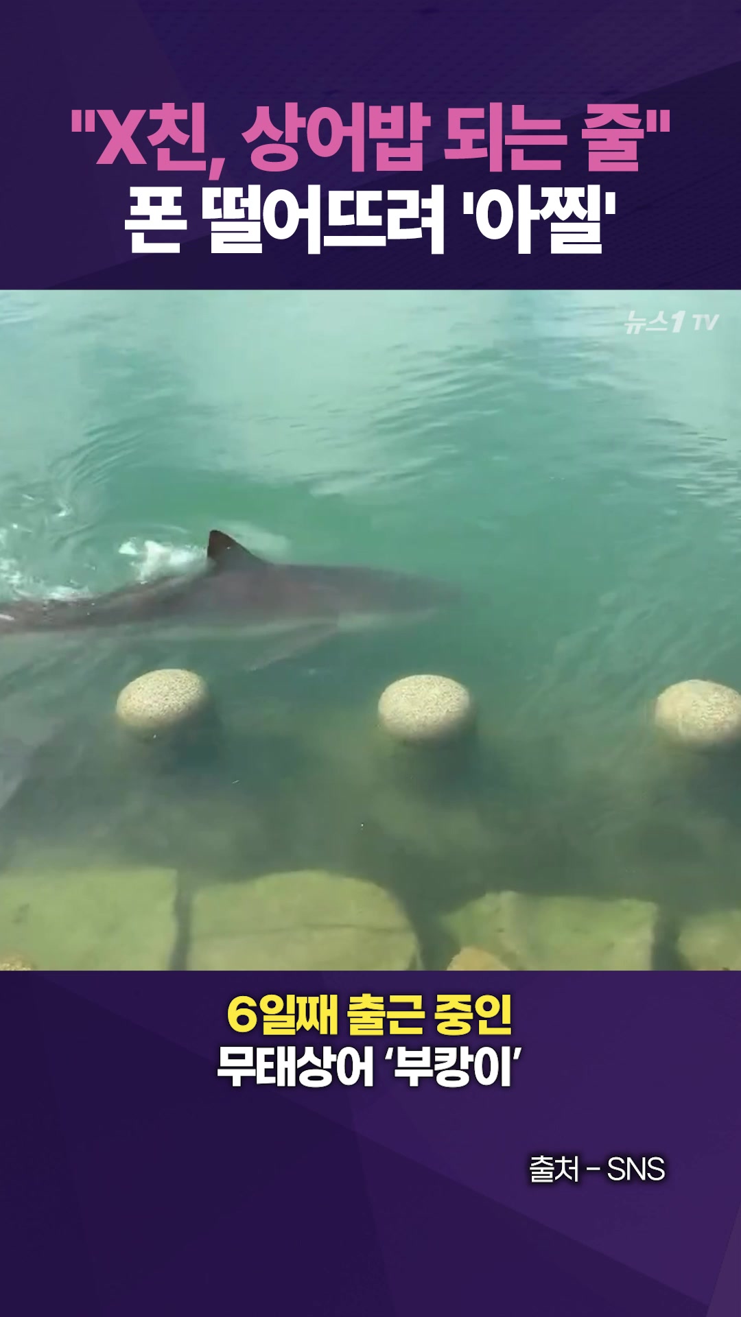 부캉이 '밥' 될 뻔…조심 좀 합시다!