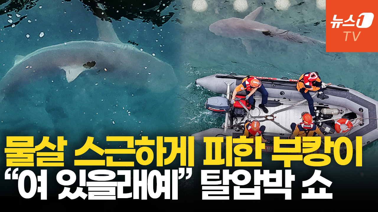 "부캉아, 10월까지 있을끼가?"…'국대급 탈압박'에 바다행 난항