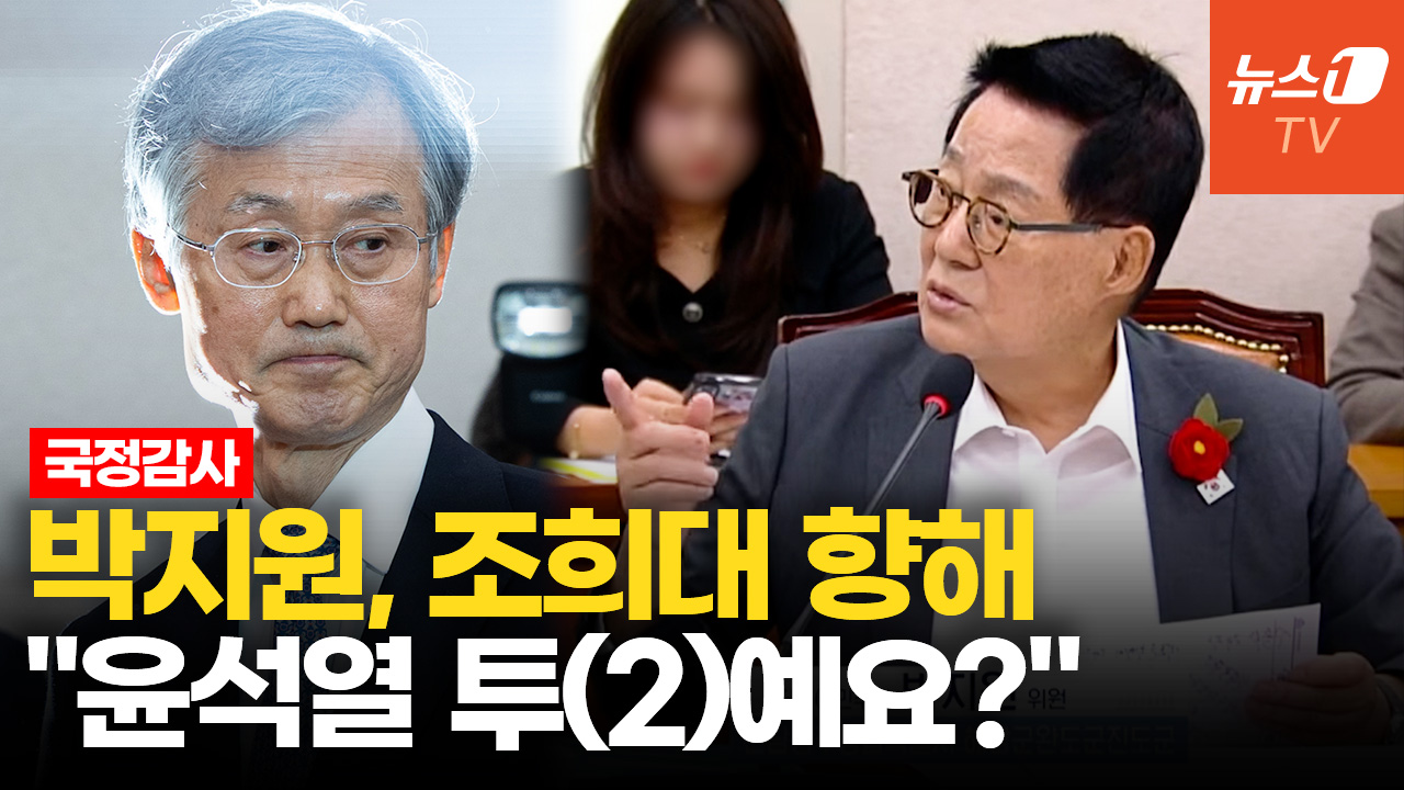 박지원 "조희대씨, 다음 대통령 하려는 것 아니냐"…법사위 여야 충돌