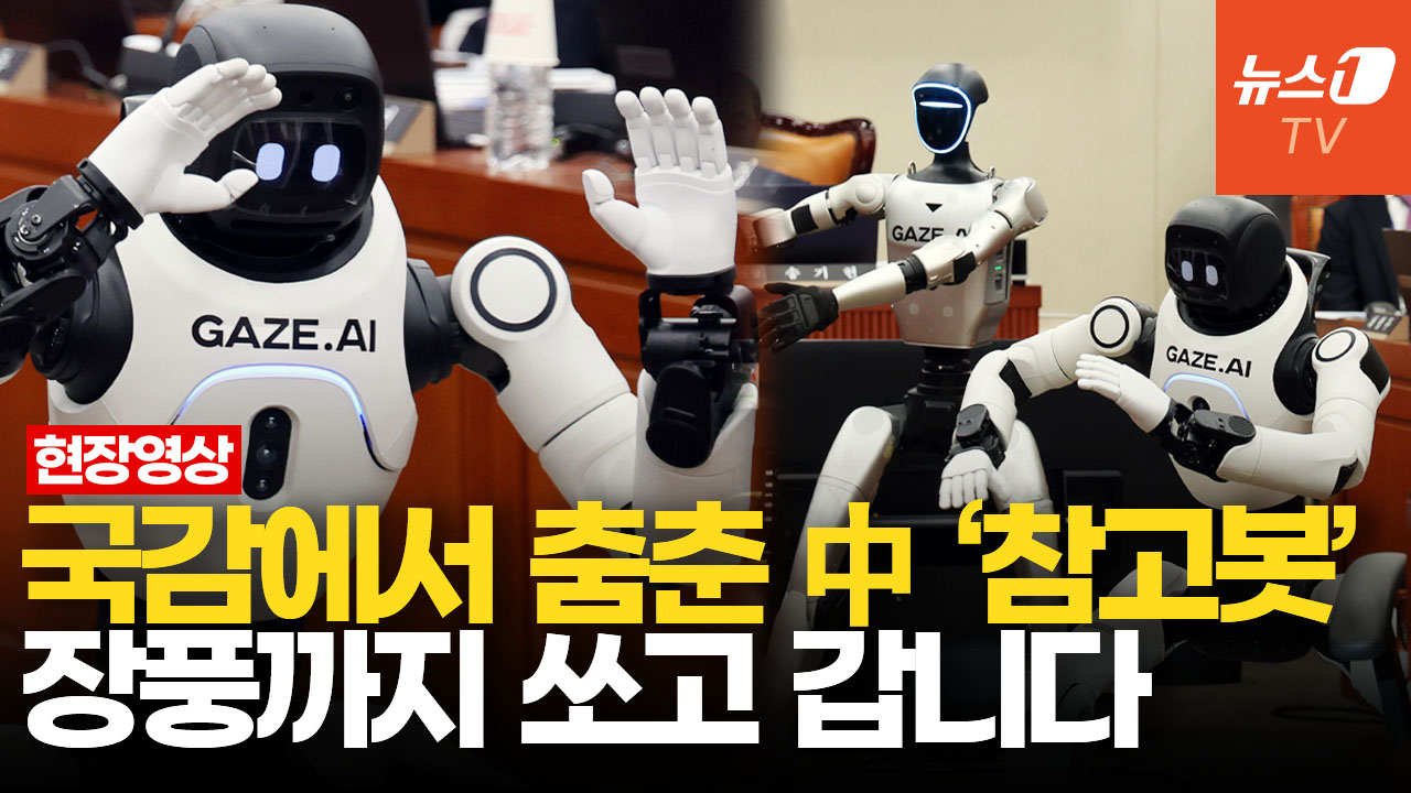 휴머노이드 로봇 '막춤'에 폭소 터진 국감장…"이제 그만 퇴장해 주시죠"