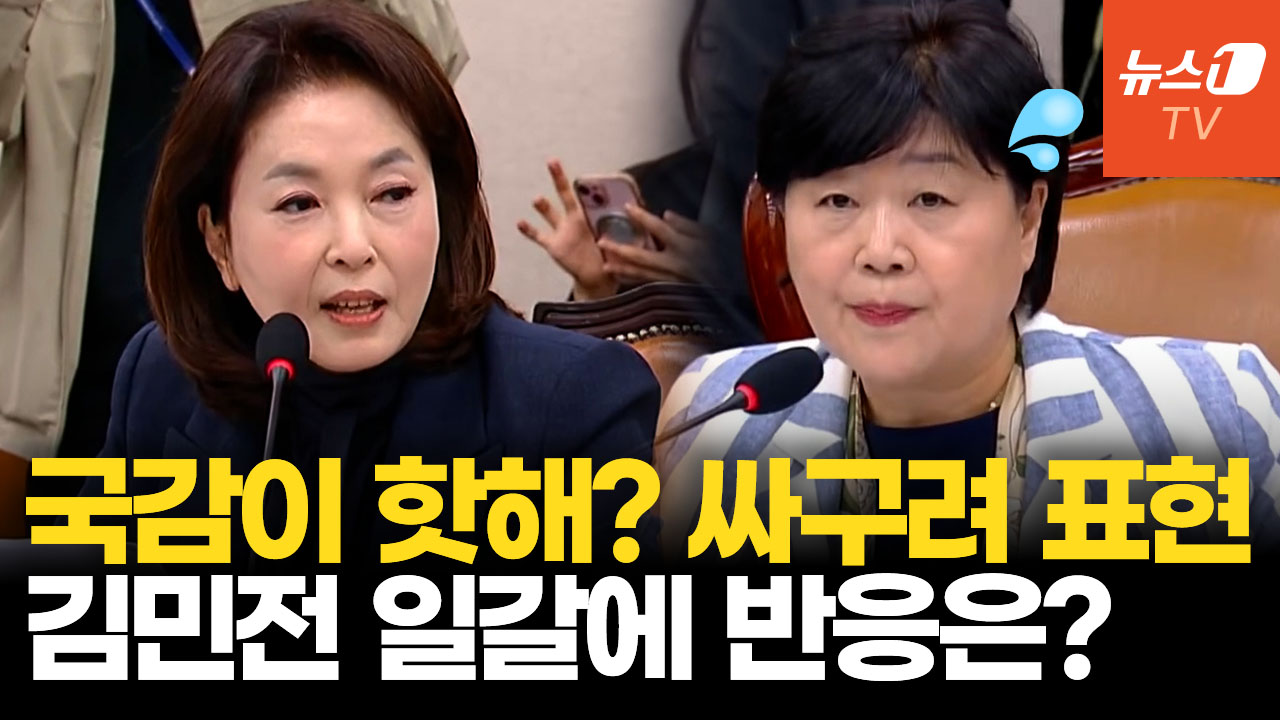"국감이 핫하다? 너무나 싸구려 표현" 김민전 직격에 서영교 반응은