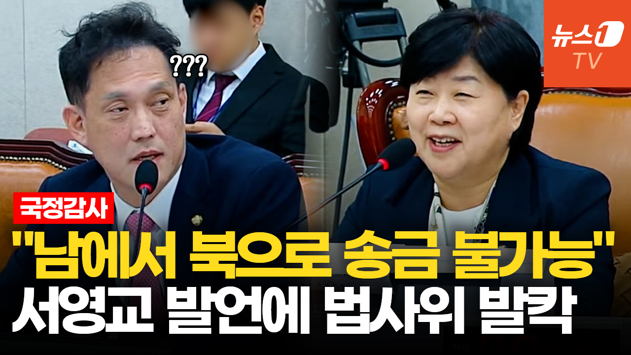 서영교 "대북송금은 불가능, 박상용이 만든 프레임"…국힘 의원들 반발