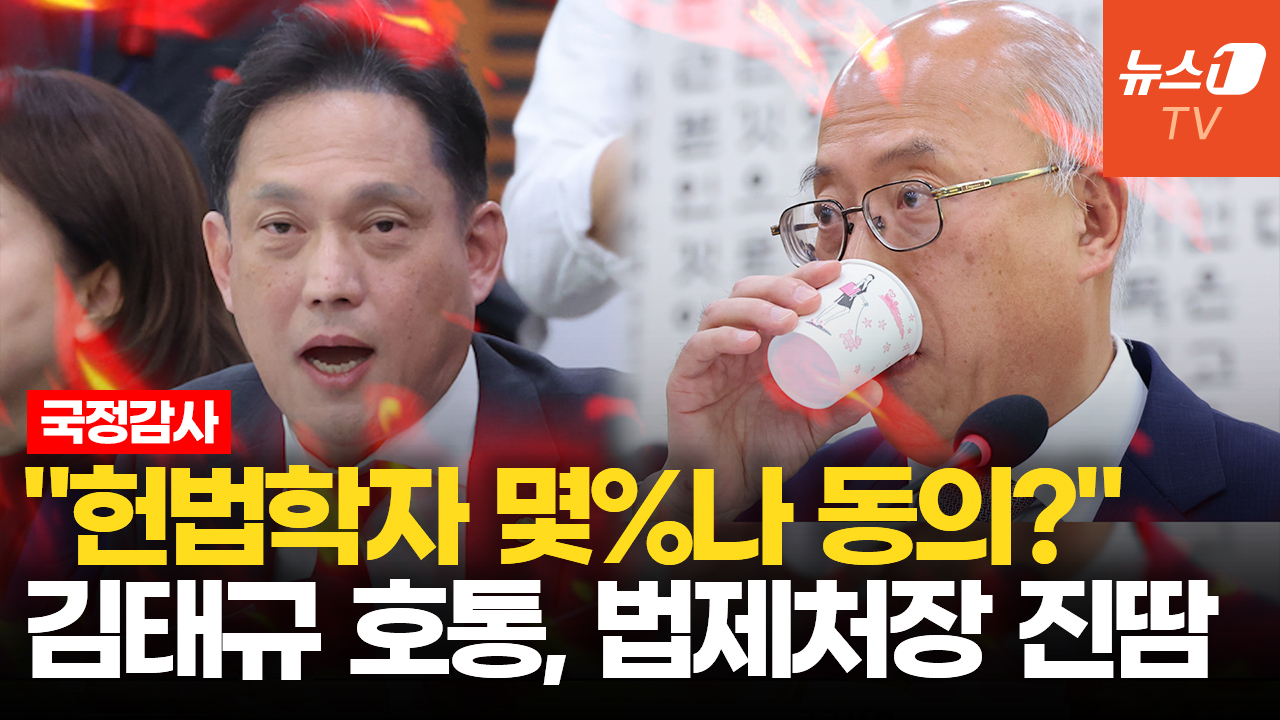 김태규, 법제처장에 호통…"재제청 근거 헌법 어디에? 독단적 해석"