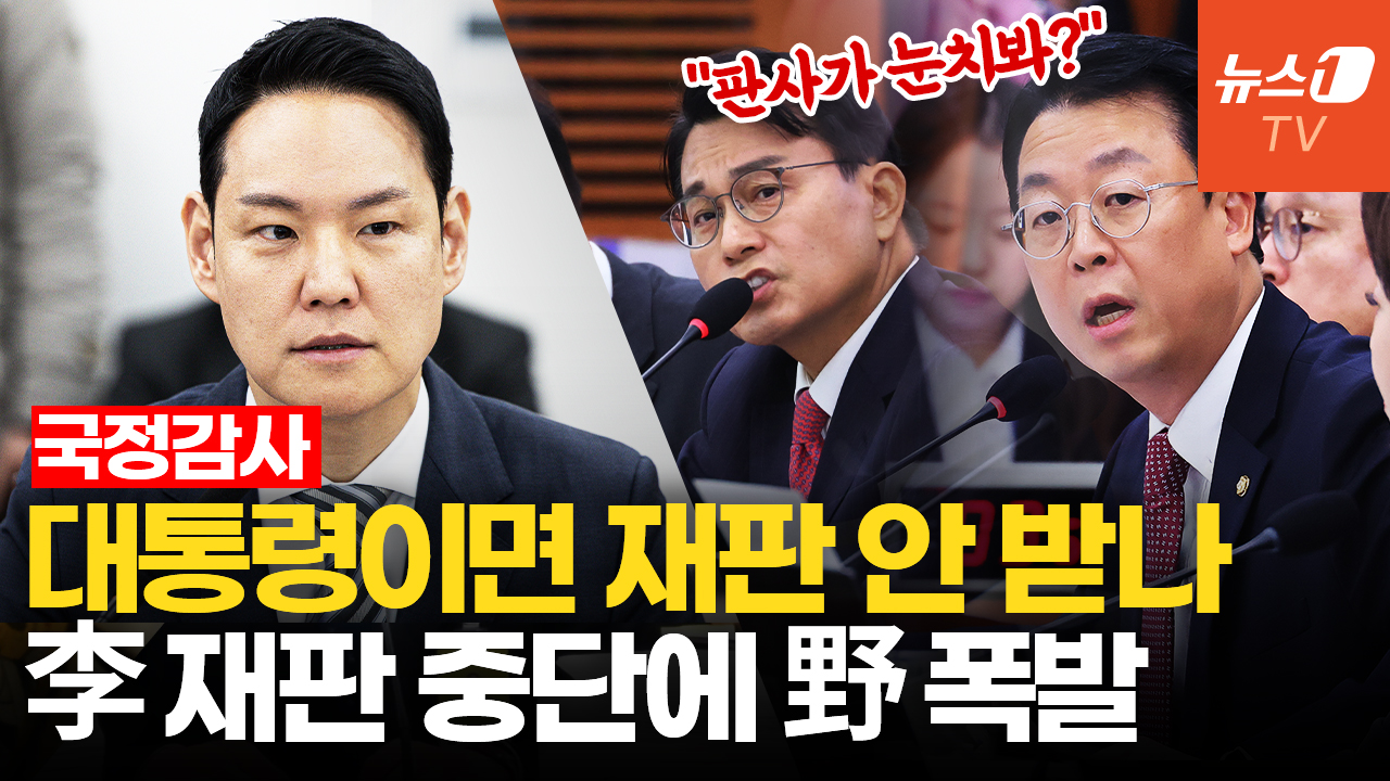 李 재판 중단에 국감장 격돌…野 "직무유기" 與 "헌법 따른 결정"