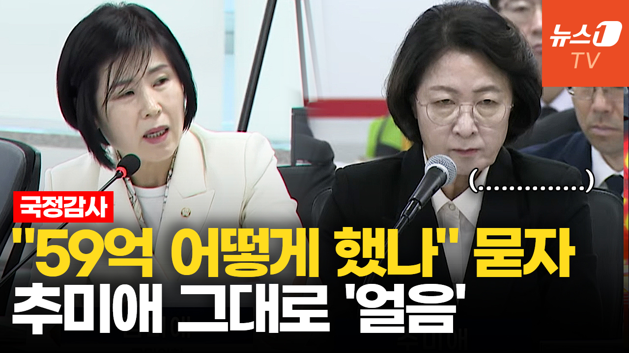 "소방안전교부세 59억 어떻게 했나" 묻자…추미애 말문 '턱'