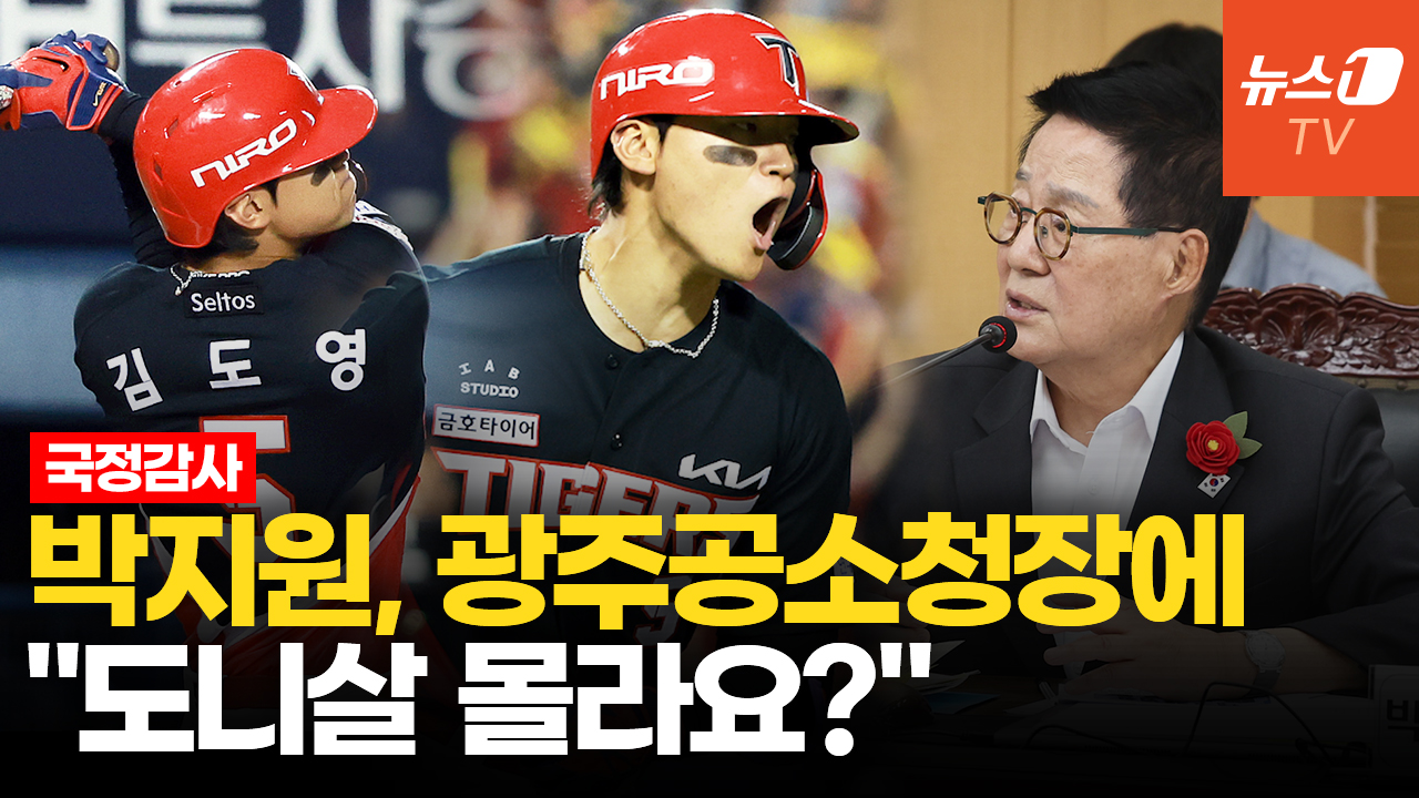 "도영아 니 땜시 살어야"…국감장에도 등장한 '슈스' 김도영