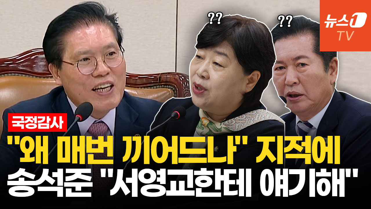 "정청래·서영교에 물어보라"…송석준 한마디에 '빵' 터진 국감장